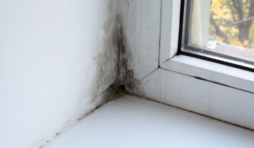 Mold on the window in the house